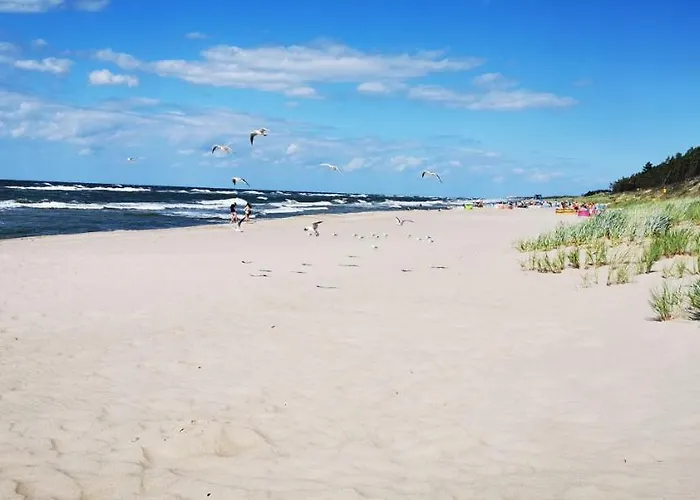 Latonafali 다브키